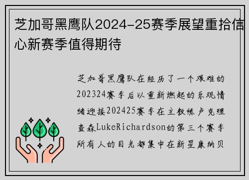 芝加哥黑鹰队2024-25赛季展望重拾信心新赛季值得期待